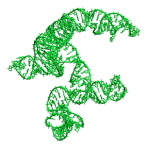 Example of a 3D predicted structure for an exon of a long non coding RNA